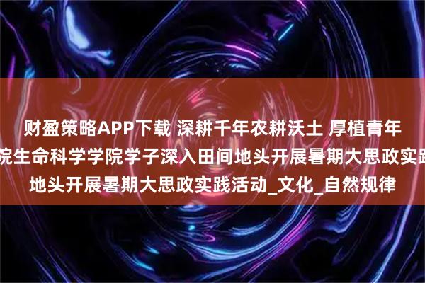 财盈策略APP下载 深耕千年农耕沃土 厚植青年兴农情怀 南昌师范学院生命科学学院学子深入田间地头开展暑期大思政实践活动_文化_自然规律