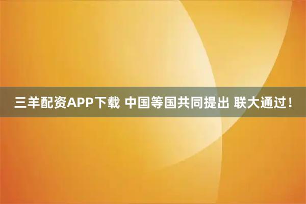 三羊配资APP下载 中国等国共同提出 联大通过!