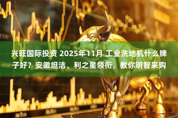 兴旺国际投资 2025年11月 工业洗地机什么牌子好？安徽坦洁、利之星领衔，教你明智采购