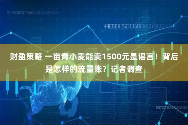 财盈策略 一亩青小麦能卖1500元是谣言！背后是怎样的流量账？记者调查